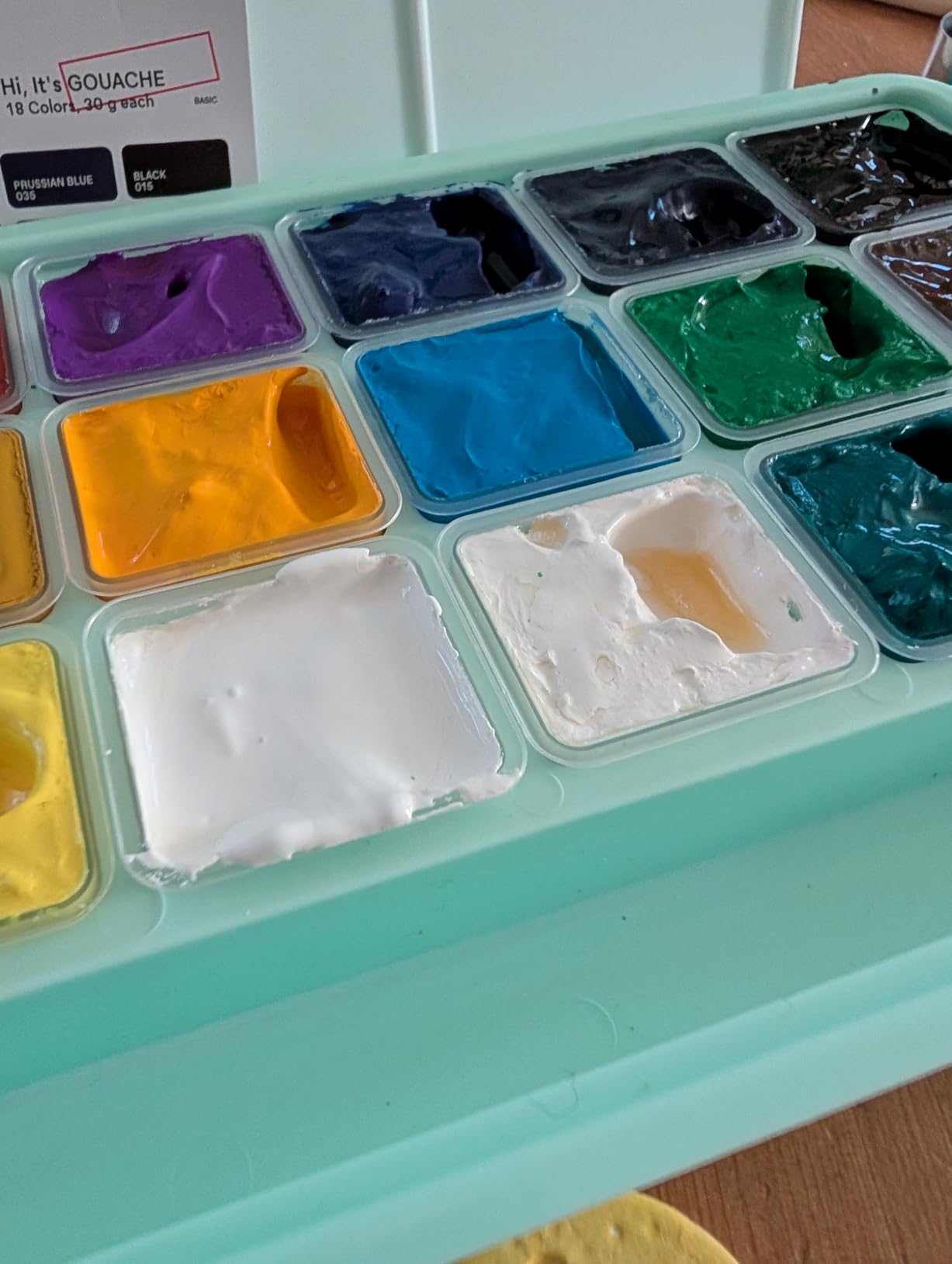 HIMI Gouache Paints Set, 18 Colors, 30g, jelly gouache paint set, Non Toxic Paint for Canvas and Paper, Art Supplies for Professionals, and More (Green Case customer photo 1