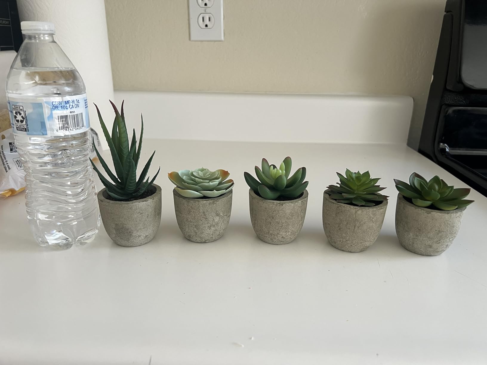 Coitak Artificial Succulent Plants Potted, Artificial Plants Indoor, 5 PCS customer photo 1