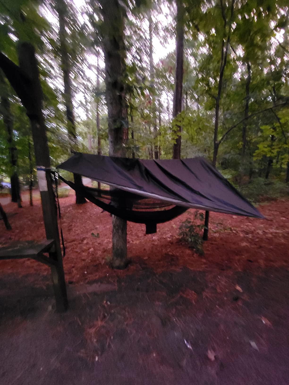 Camping Hammock with Mosquito Net and Rain Fly - Travel Hammock Bug Net - Hammock Tent for Outdoor Hiking Backpacking Travel Camping Accessories and Camping Gear… customer photo 2
