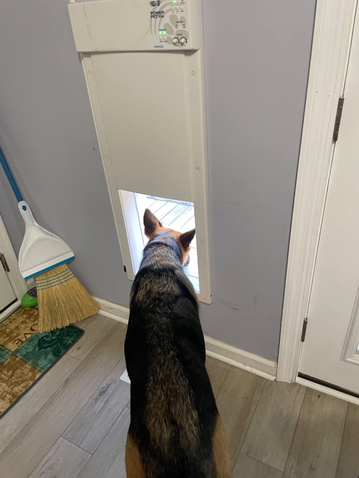 Power Pet Smart Automatic Electronic Pet Door by High Tech Pet (Wall Mount, Large, Non-WiFi) customer photo 2