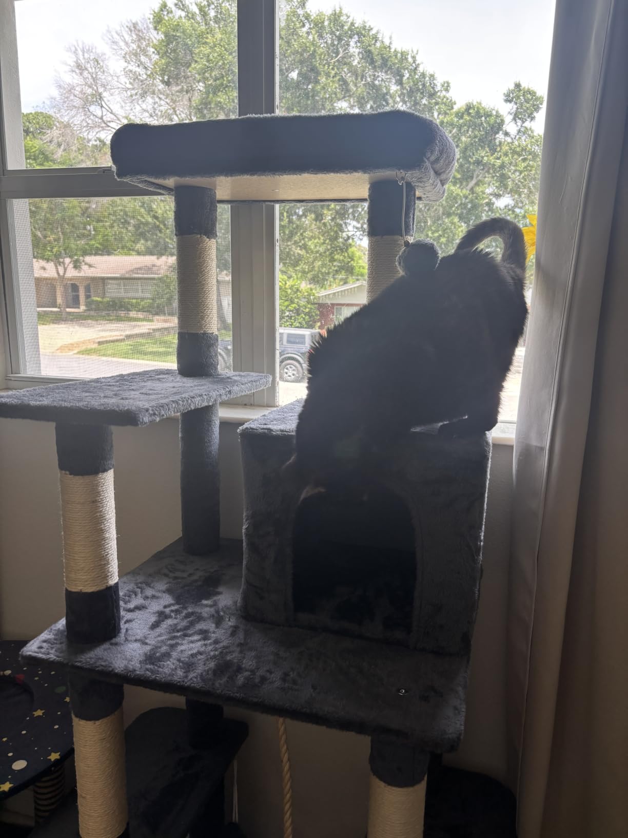 Yaheetech 63in Sturdy Large Cat Tree for Indoor Heavy Cats, Tall Tower customer photo 2
