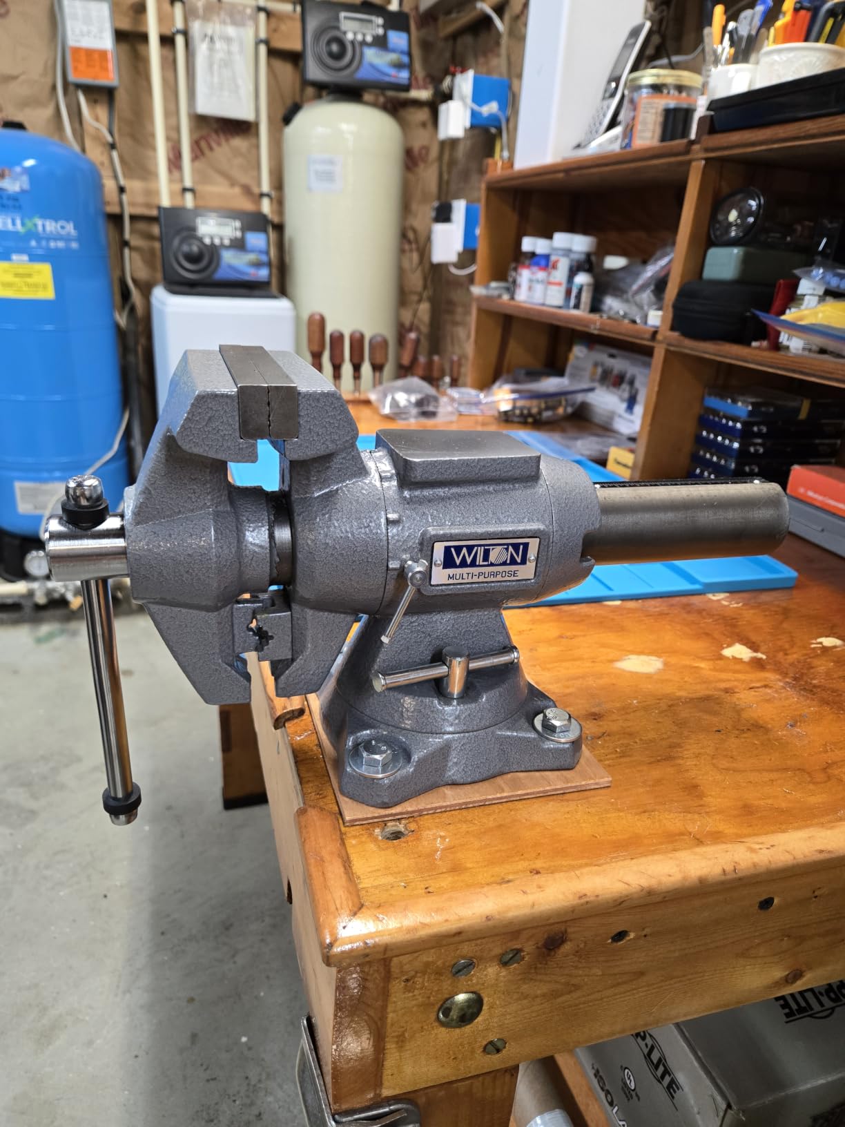 Wilton Multi-Purpose Bench Vise, 5-1/2