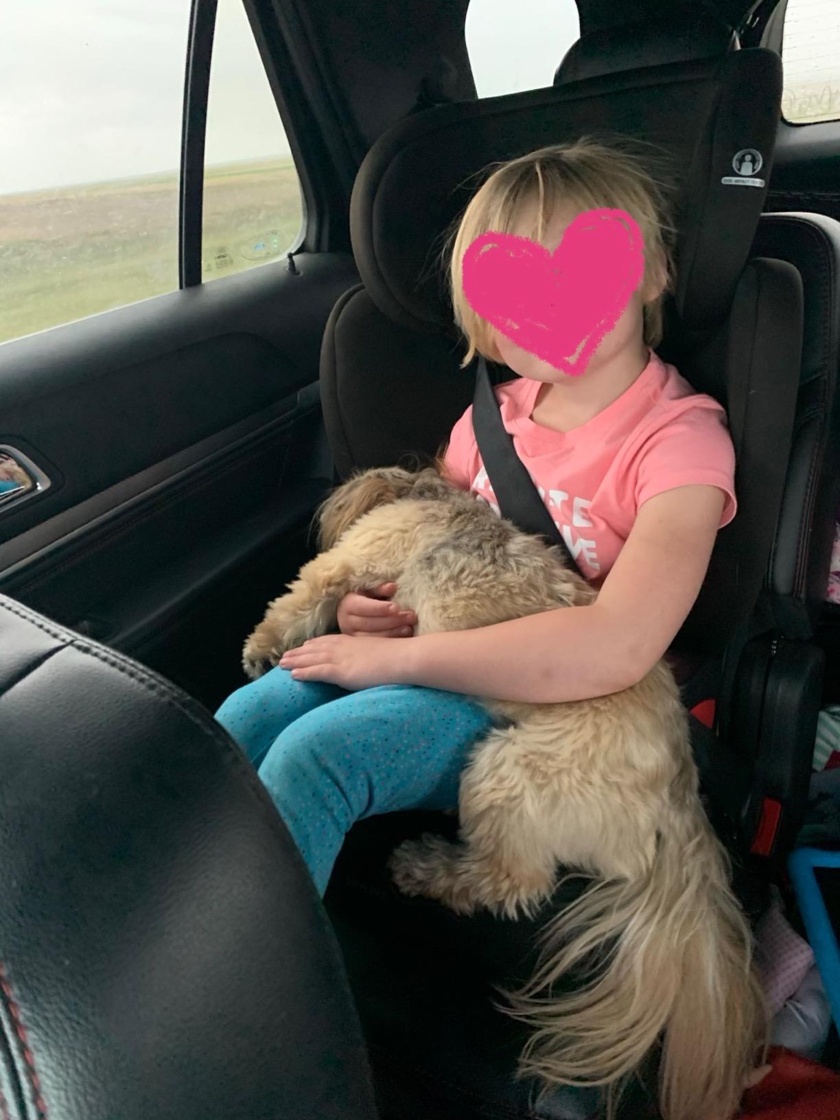 Britax Skyline 2-Stage Belt-Positioning Booster Car Seat, Dusk - Highback and Backless Seat customer photo 2
