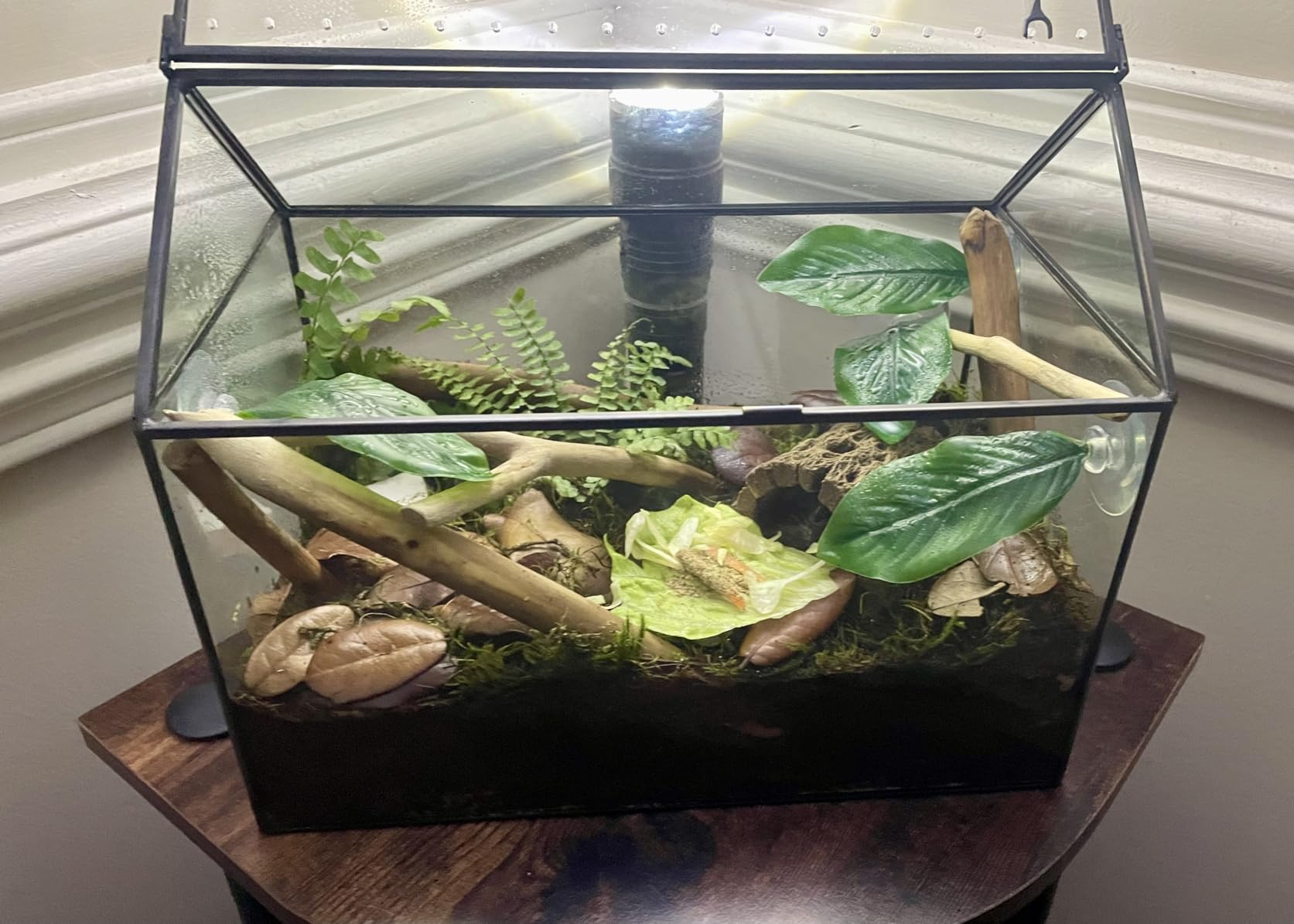 NCYP Glass Terrarium Planter with Lid for Small Succulent Plants, Grid House Shape Black Geometric Terrarium Pot, Home Garden Indoor Tabletop Decor, 9.84