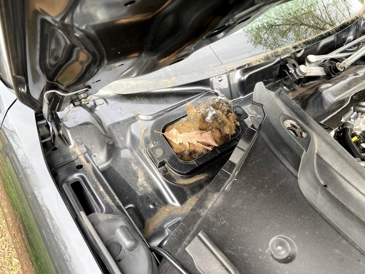 Angveirt Battery Operated Ultrasonic Rodent Repellent for Cars & Garages customer photo 1