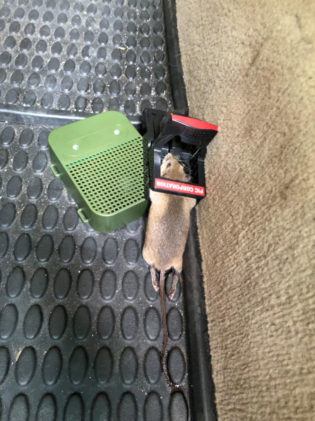 Battery Powered Rodent Repeller Ultrasonic Mouse Repellent for Car Engine Indoor Mice Rat Deterrent Squirrel Repeller for Attic Garage Home Vehicle Protection, 2 Pack customer photo 1