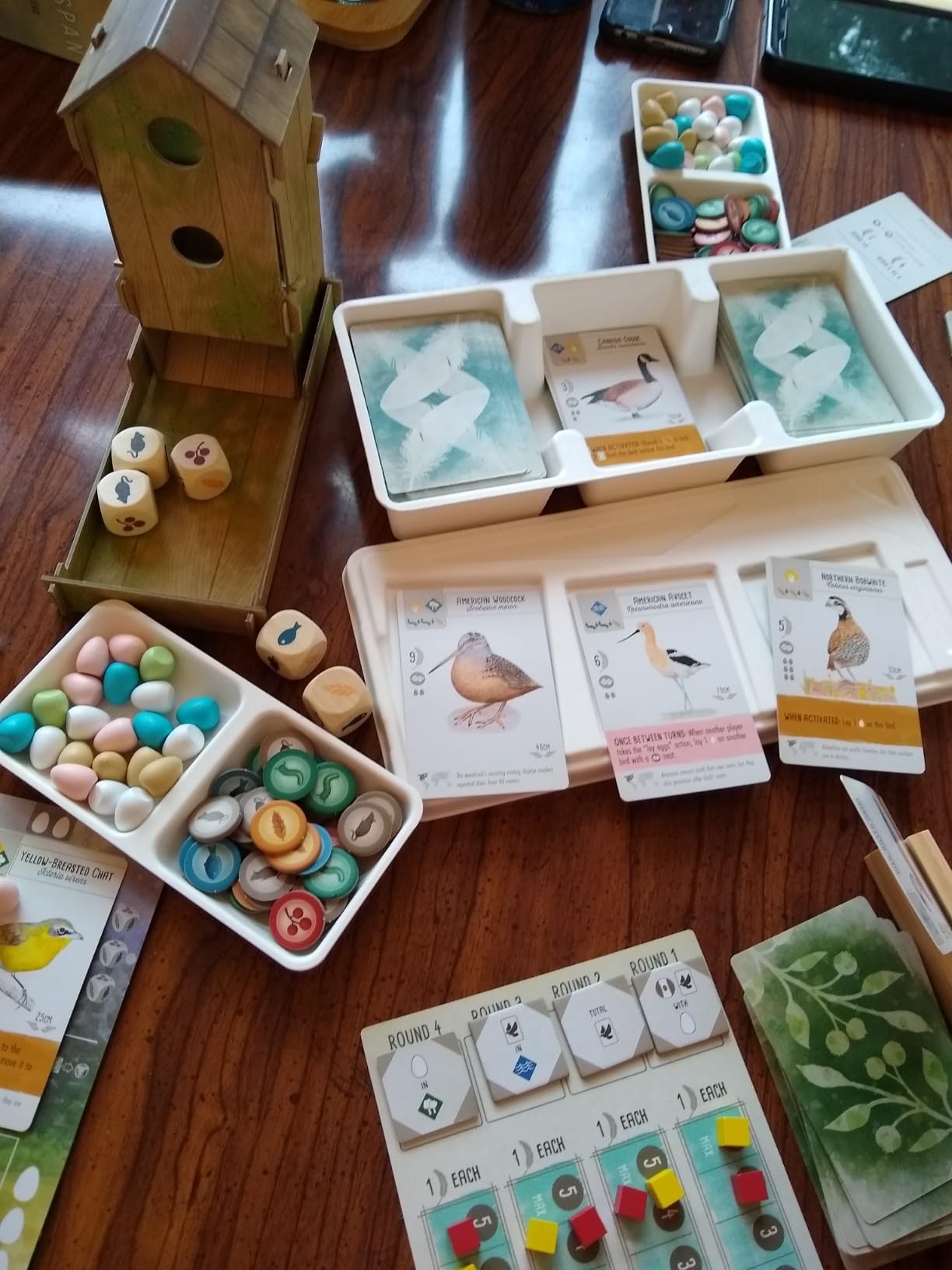 Stonemaier Games: Wingspan by Elizabeth Hargrave customer photo 2