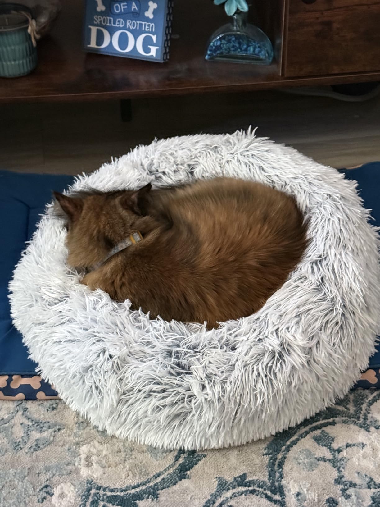 Love's cabin Calming Dog & Cat Bed, Cat Bed for Indoor Cats, Anti-Anxiety Donut Round Bed, Fluffy Warming Pet Bed for Small Medium Dogs and Cats, Beige Taupe 20