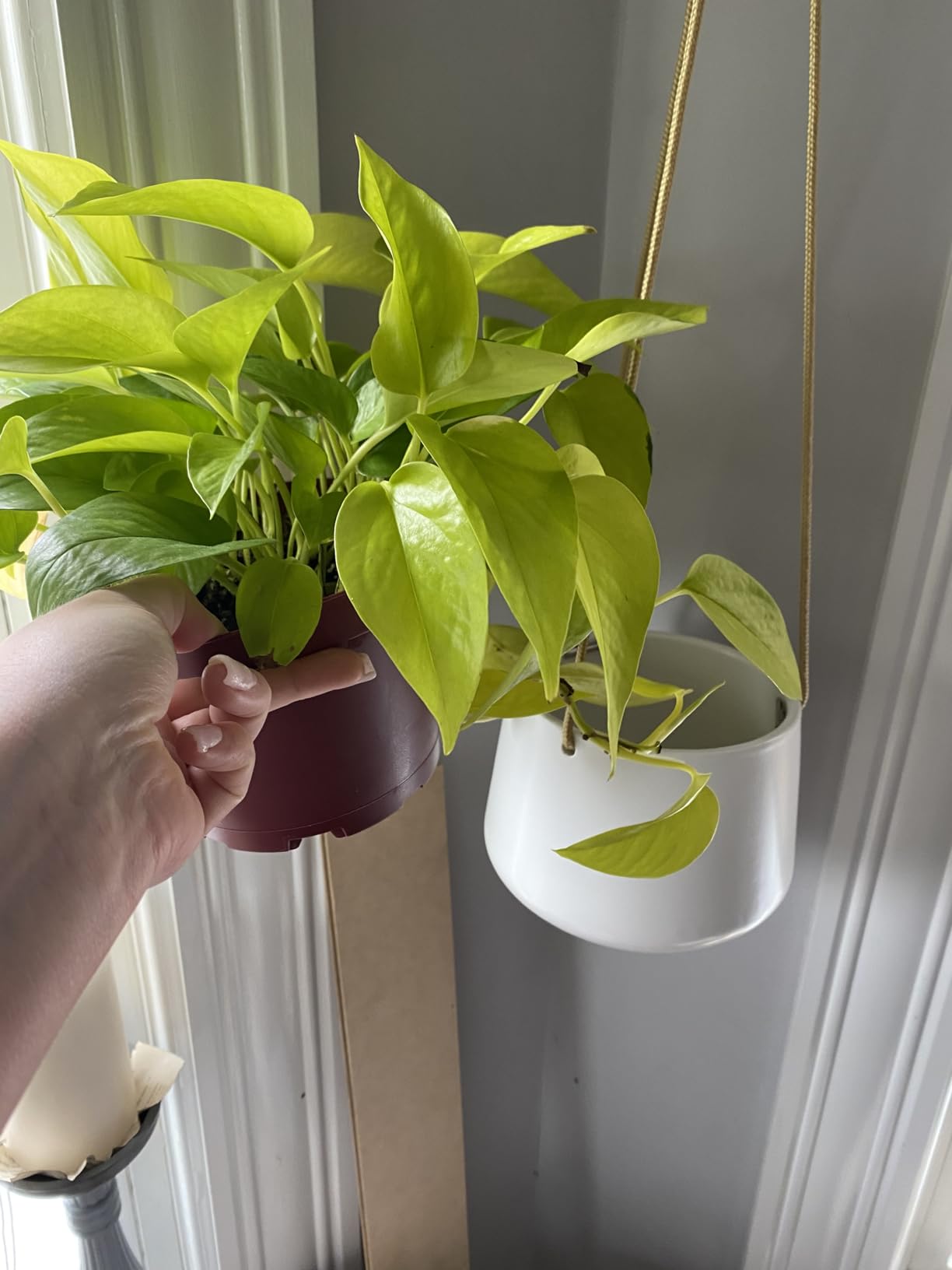 Mkono Ceramic Hanging Planters for Indoor Plants, 8