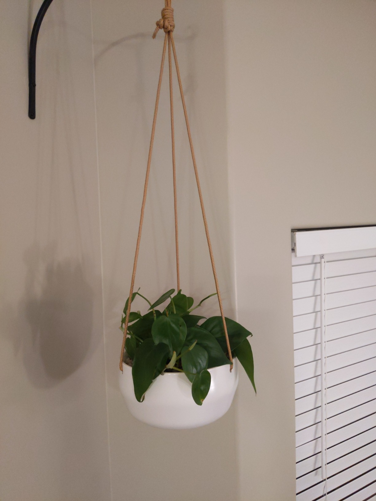 Mkono Ceramic Hanging Planters for Indoor Plants, 8