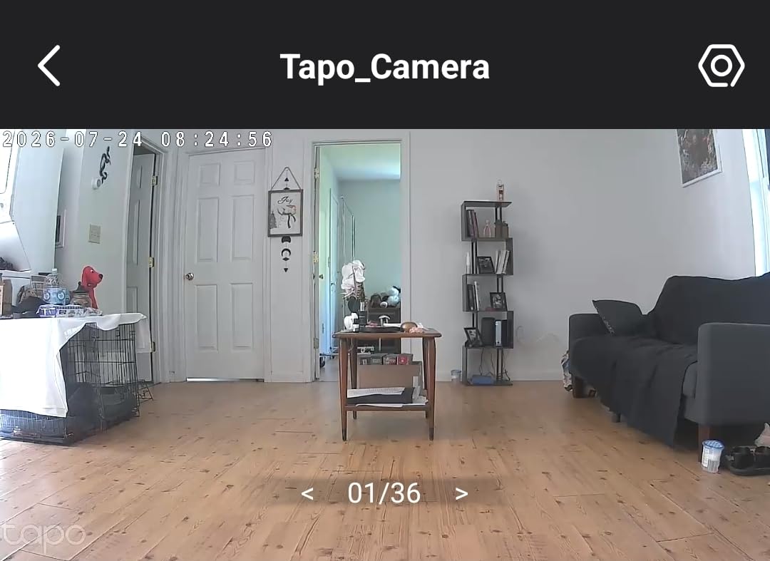 TP-Link Tapo Pan/Tilt Security Camera for Baby Monitor, Pet Camera w/Motion Detection, 1080P, 2-Way Audio, Night Vision, Cloud & SD Card Storage, Works with Alexa & Google Home (Tapo C200) customer photo 1
