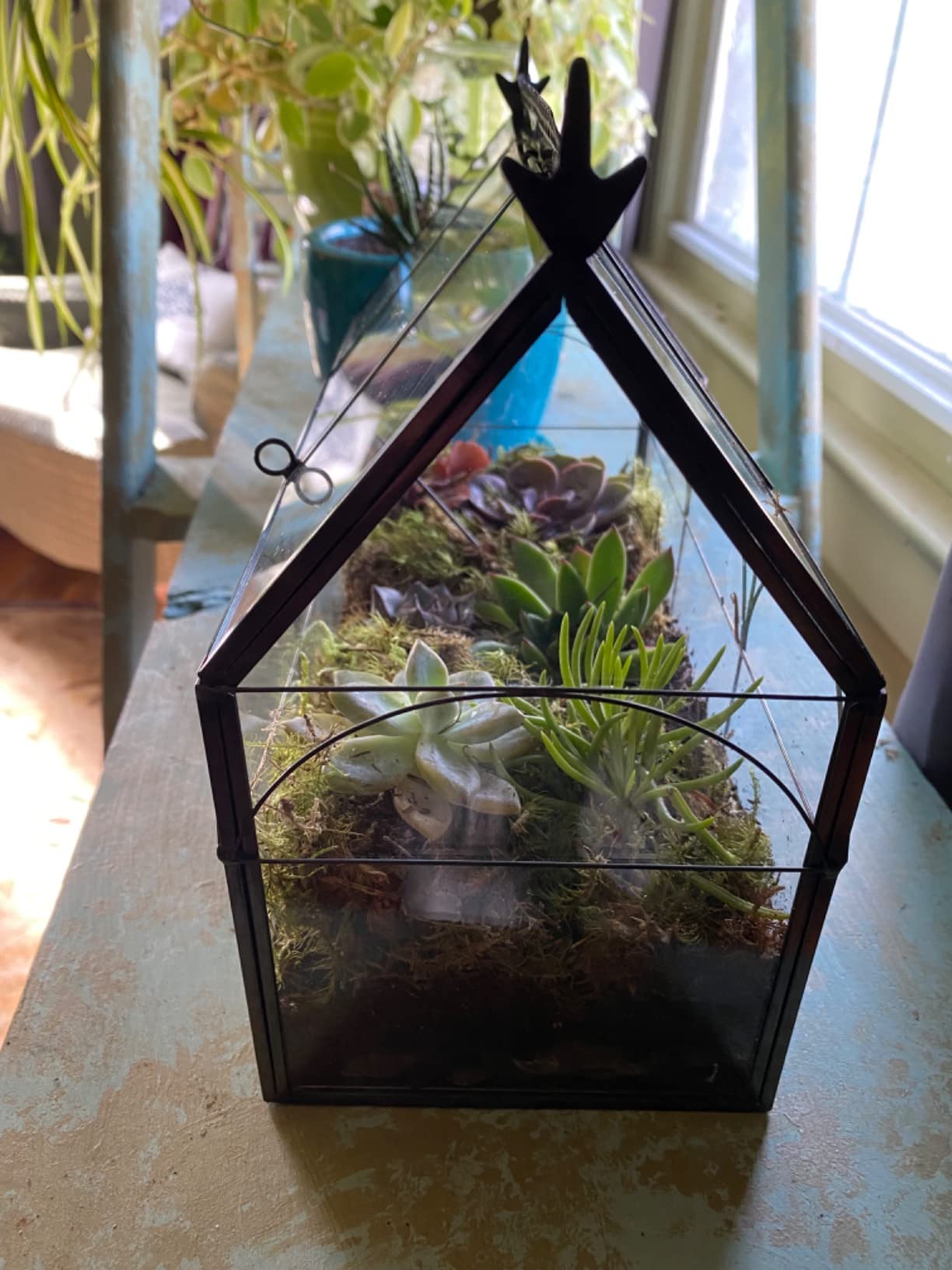 D'Eco Glass Greenhouse Plant Terrarium, Centerpiece & Wedding Letterbox customer photo 2