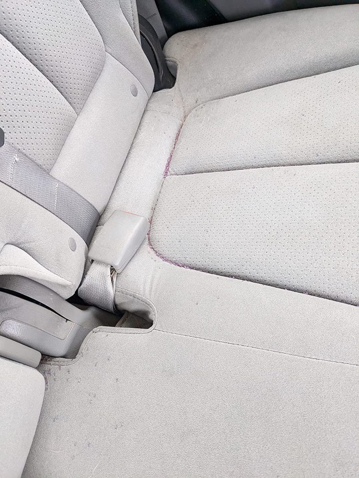 Honest Dog Car Seat Covers, Dog seat Cover with Side Flap for Cars, Trucks, and Suv's - Waterproof & Nonslip Pet Seat Cover for Backseat customer photo 1