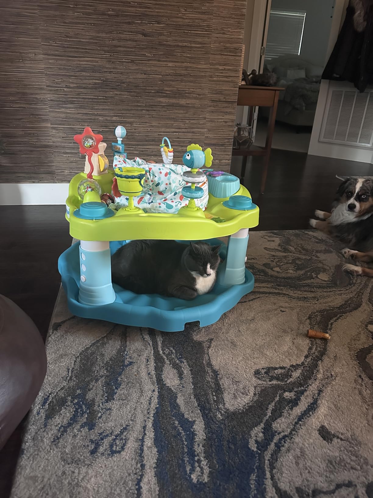 Evenflo Exersaucer Seaside Splash Activity Center customer photo 1