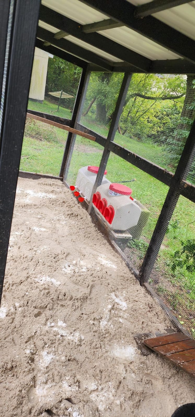 OverEZ Automatic Chicken Waterer with No Spill System, Outside and Inside Poultry Drinker, Large 12 Gallon High Capacity Drinking Bottle Dispenser for Hens customer photo 1