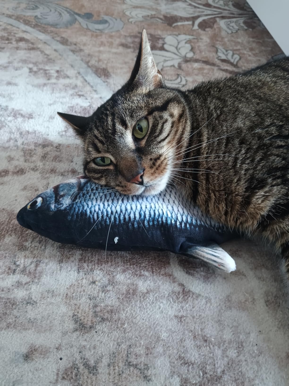 Potaroma Cat Toys Flopping Fish with Catnip, Moving Kitten Kicker, Floppy Wiggle Carp for Small Dogs, Interactive Motion Kitty Exercise, 10.5 Inches customer photo 2