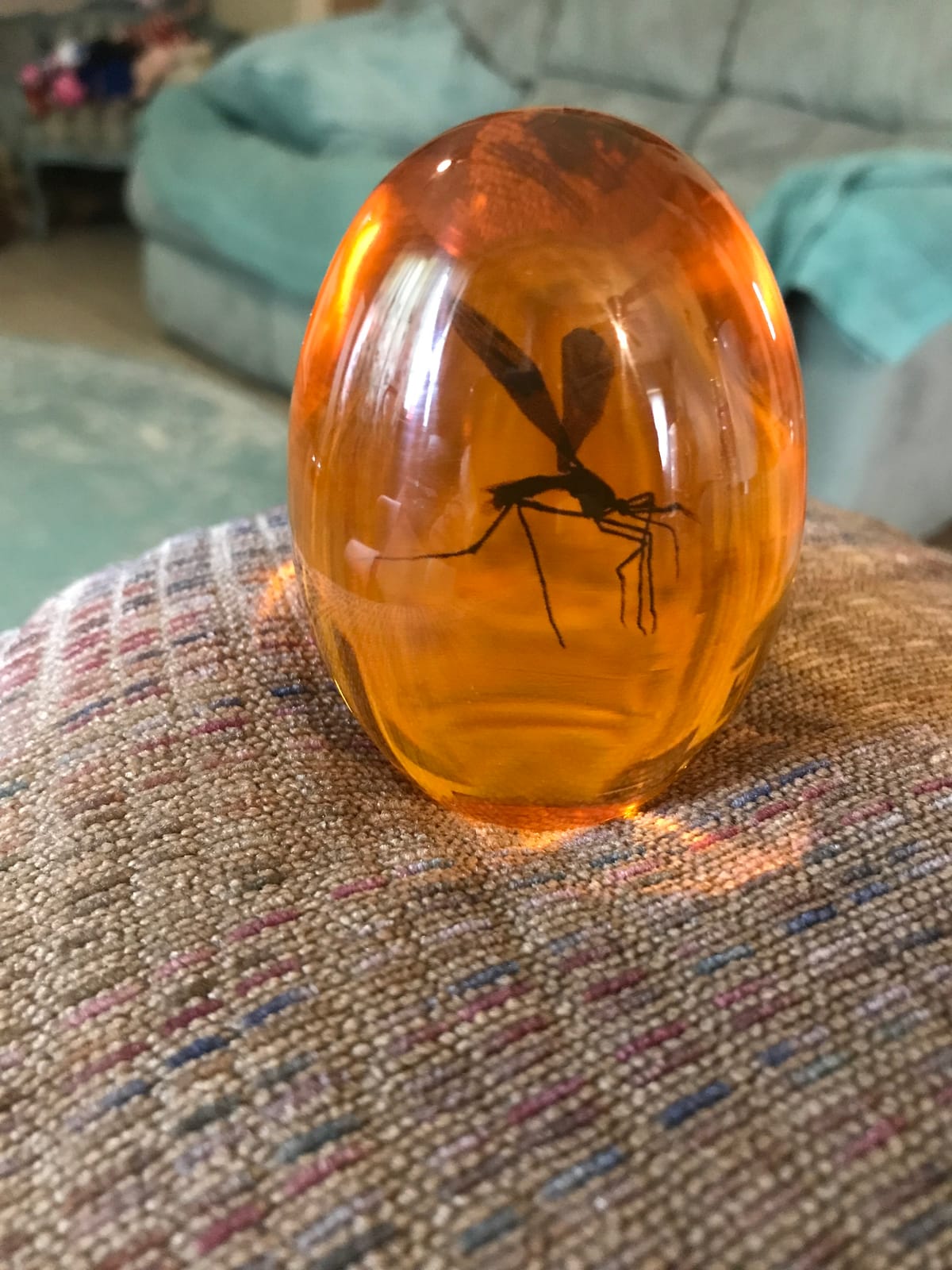 Toynk Jurassic Park Mosquito in Amber Resin Prop Replica | Official Collectible Paper Weight | Measures 3 Inches Tall customer photo 2