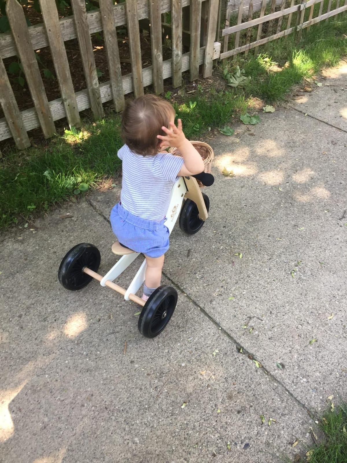 Kinderfeets Tiny Tot Plus Balance Bike for Toddlers & Kids 18 Months to 4 Years – Adjustable Seat, Puncture-Proof Tires, Pedal-Free Training Bicycle for Children customer photo 1