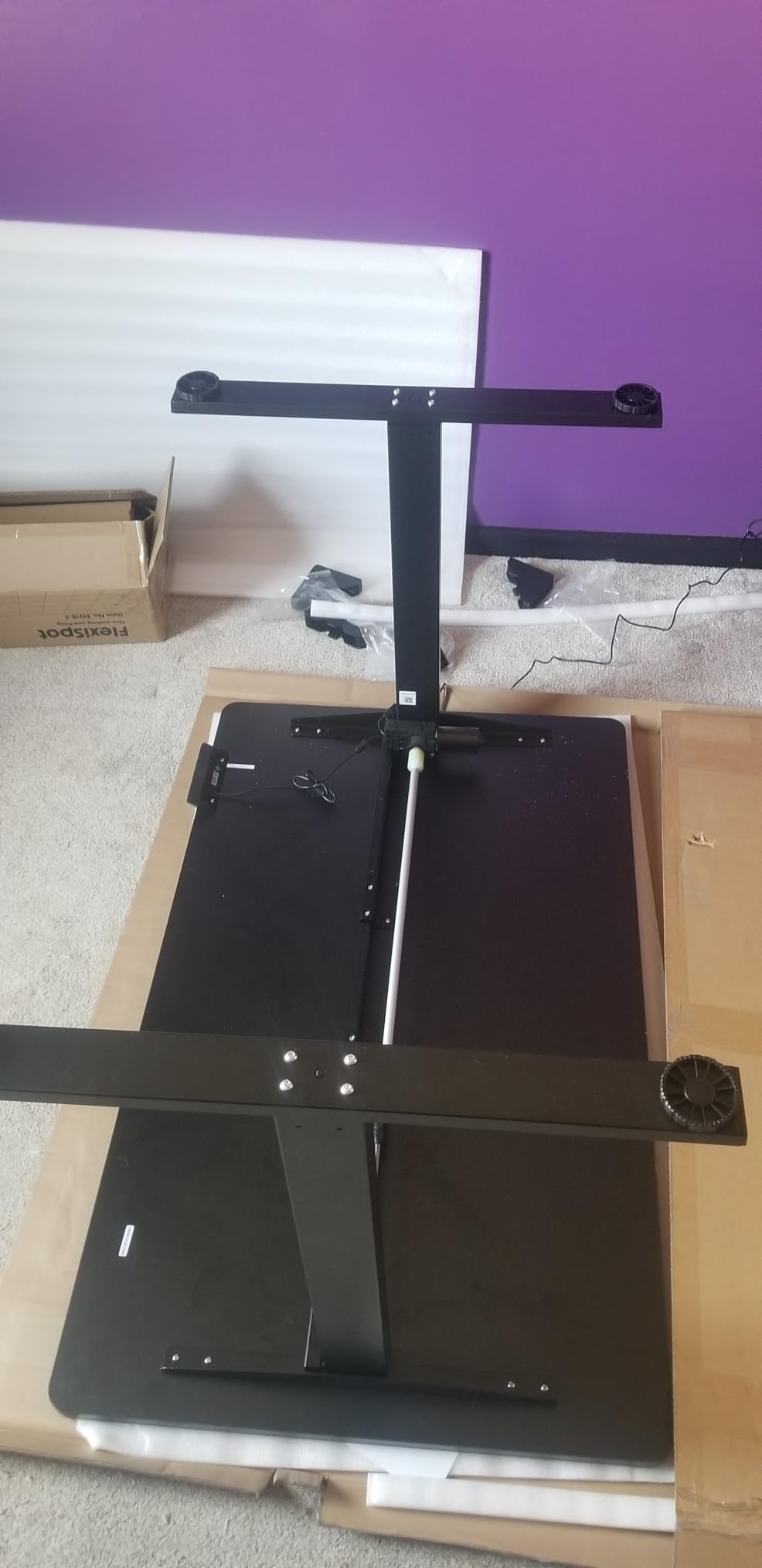 FLEXISPOT EN1 One-Piece Standing Desk, Electric Adjustable with 4 Memory Presets, 176 LBS Capacity, Stable & Quiet, Seamless Desktop for Home Office & Dual Monitors, 55