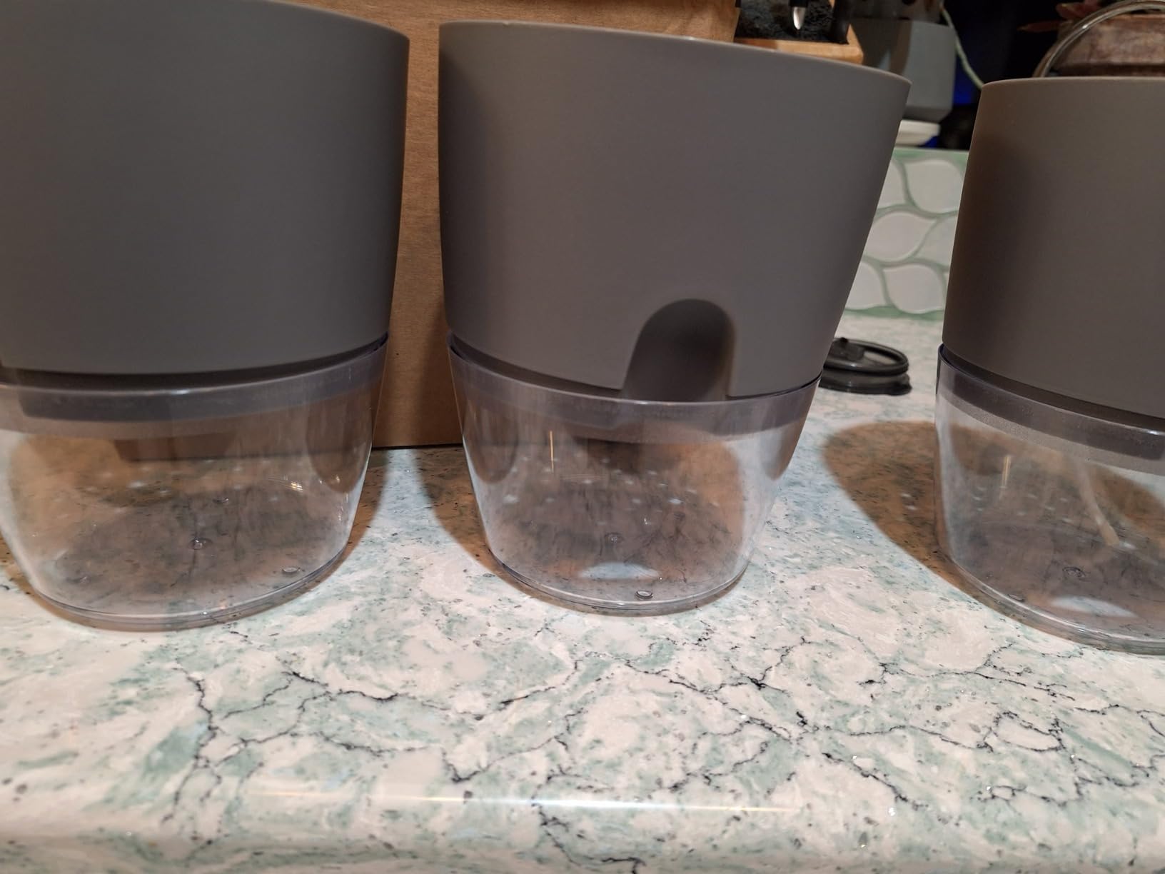 Vanavazon 6 Inch Self Watering Pots for Indoor Plants African Violet Pots customer photo 2