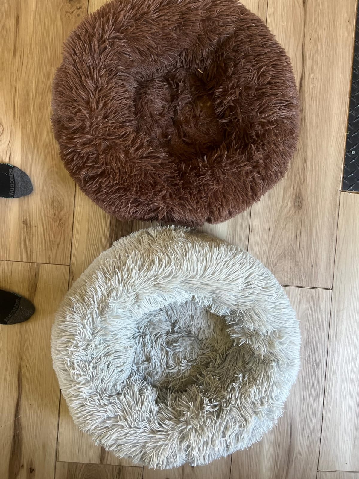 Cat Bed for Indoor Cats,Mini Plush Self Warming Kitten Bed, 20 Inch customer photo 1