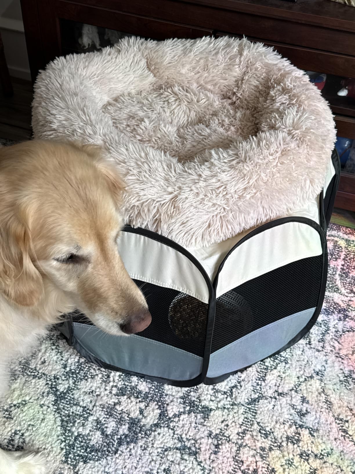 Cat Bed for Indoor Cats,Mini Plush Self Warming Kitten Bed, 20 Inch customer photo 2
