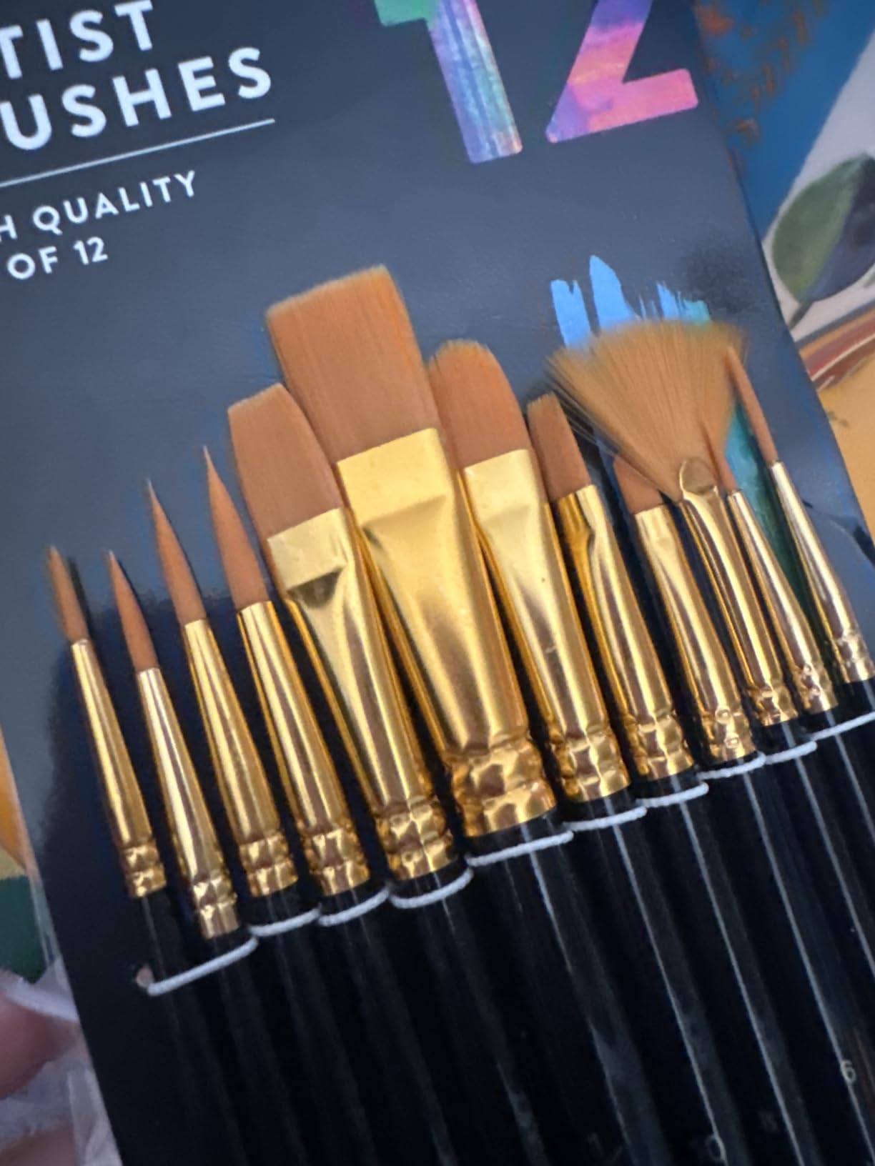 Professional Artist Paint Brush Set of 12 - Acrylic Painting Brushes Kit customer photo 1