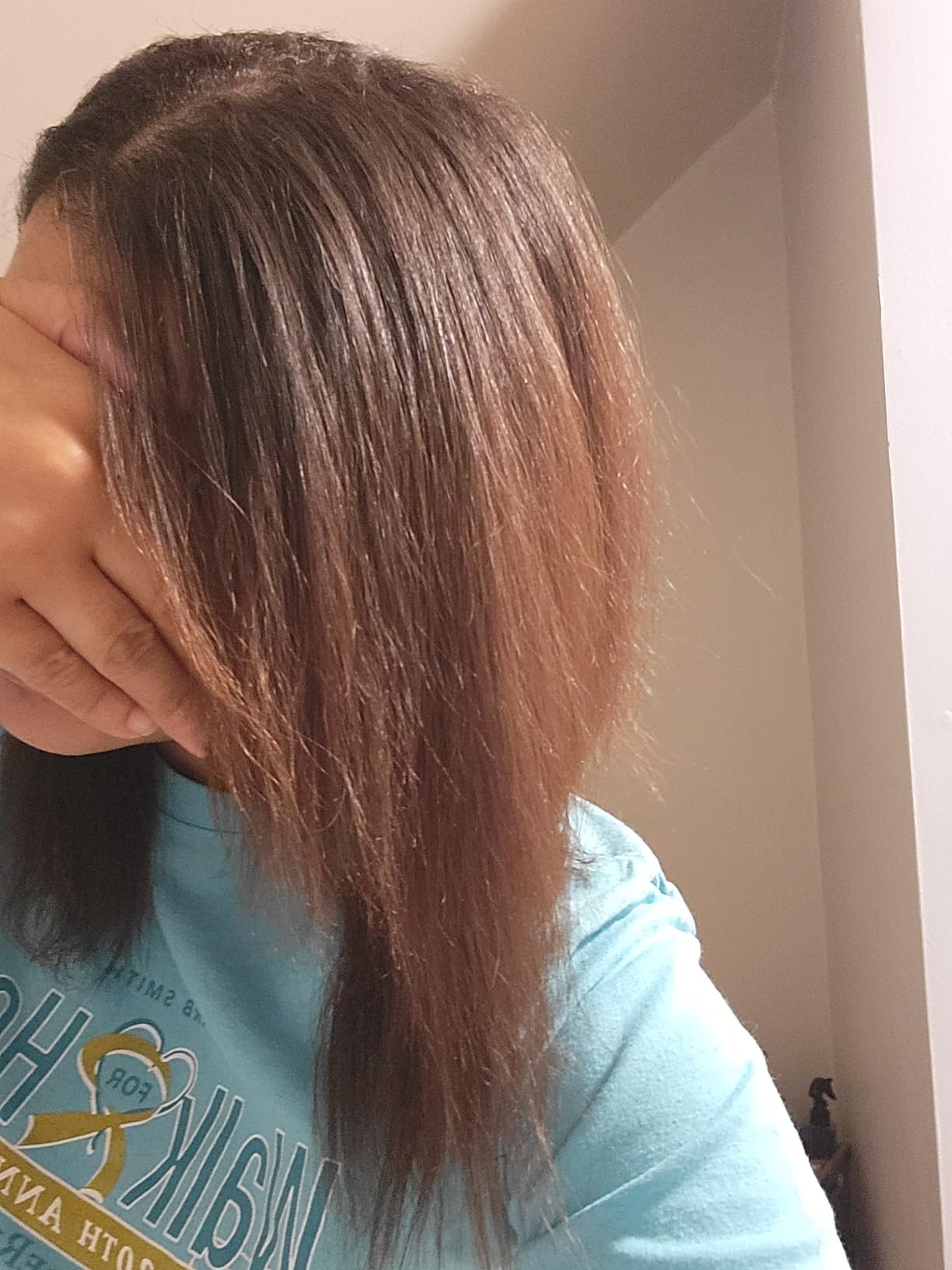 L'ANGE HAIR Le Vite Straightening Brush | Heated Hair Tool for Smoother, Frizz-Controlled Look | Dual-Voltage Hot Brush Straightener for Effortless Styling & Shine | Ceramic Standard Size (Blush) customer photo 1