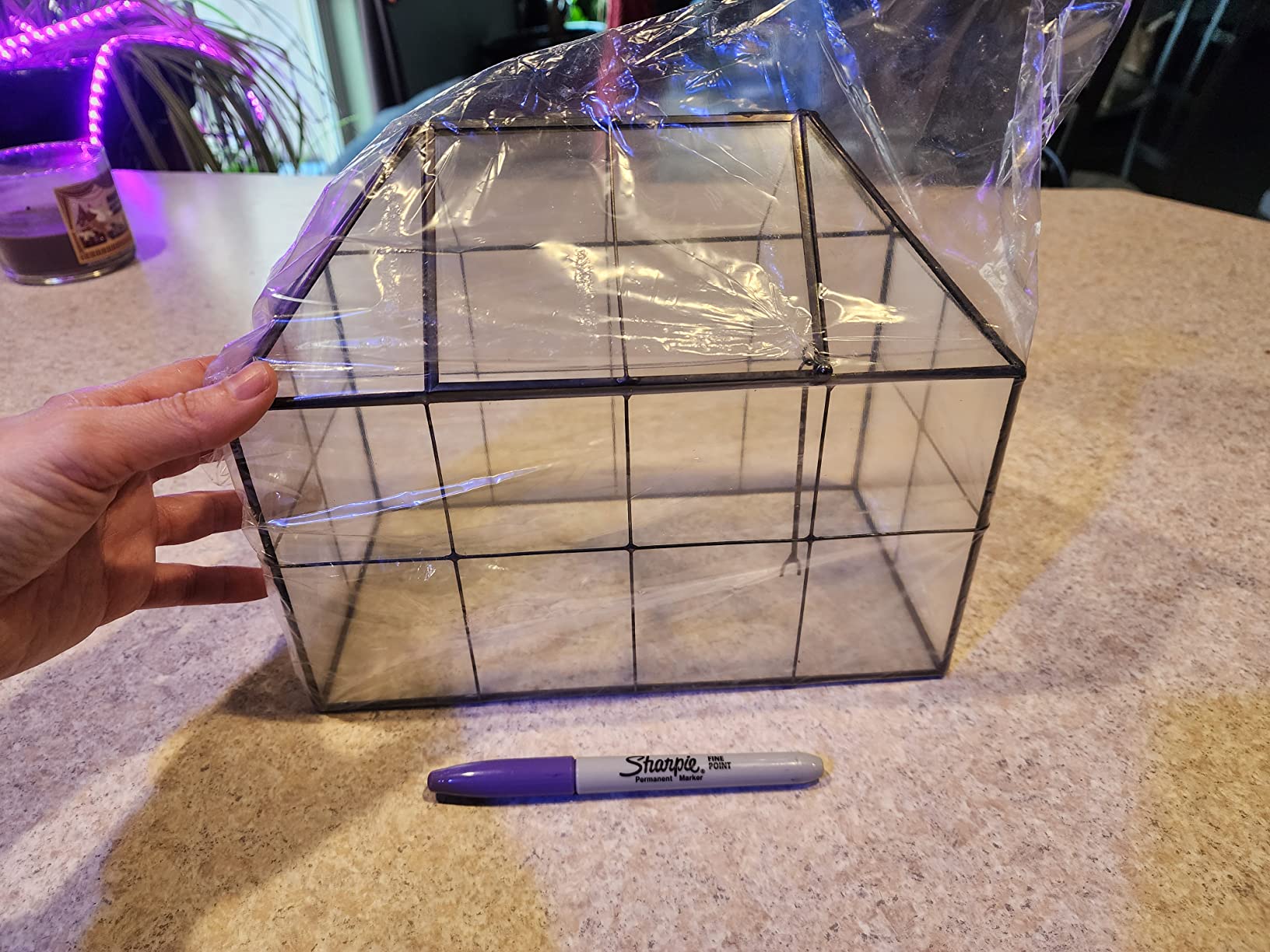 Large Glass Terrarium House Planter – Succulent Plant Terrarium House Shape Glass Greenhouse Terrarium with lid 9.8