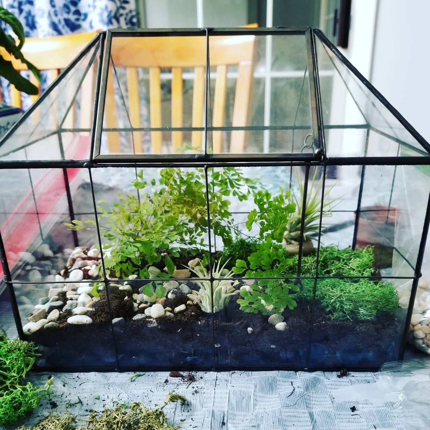 Large Glass Terrarium House Planter – Succulent Plant Terrarium House Shape Glass Greenhouse Terrarium with lid 9.8