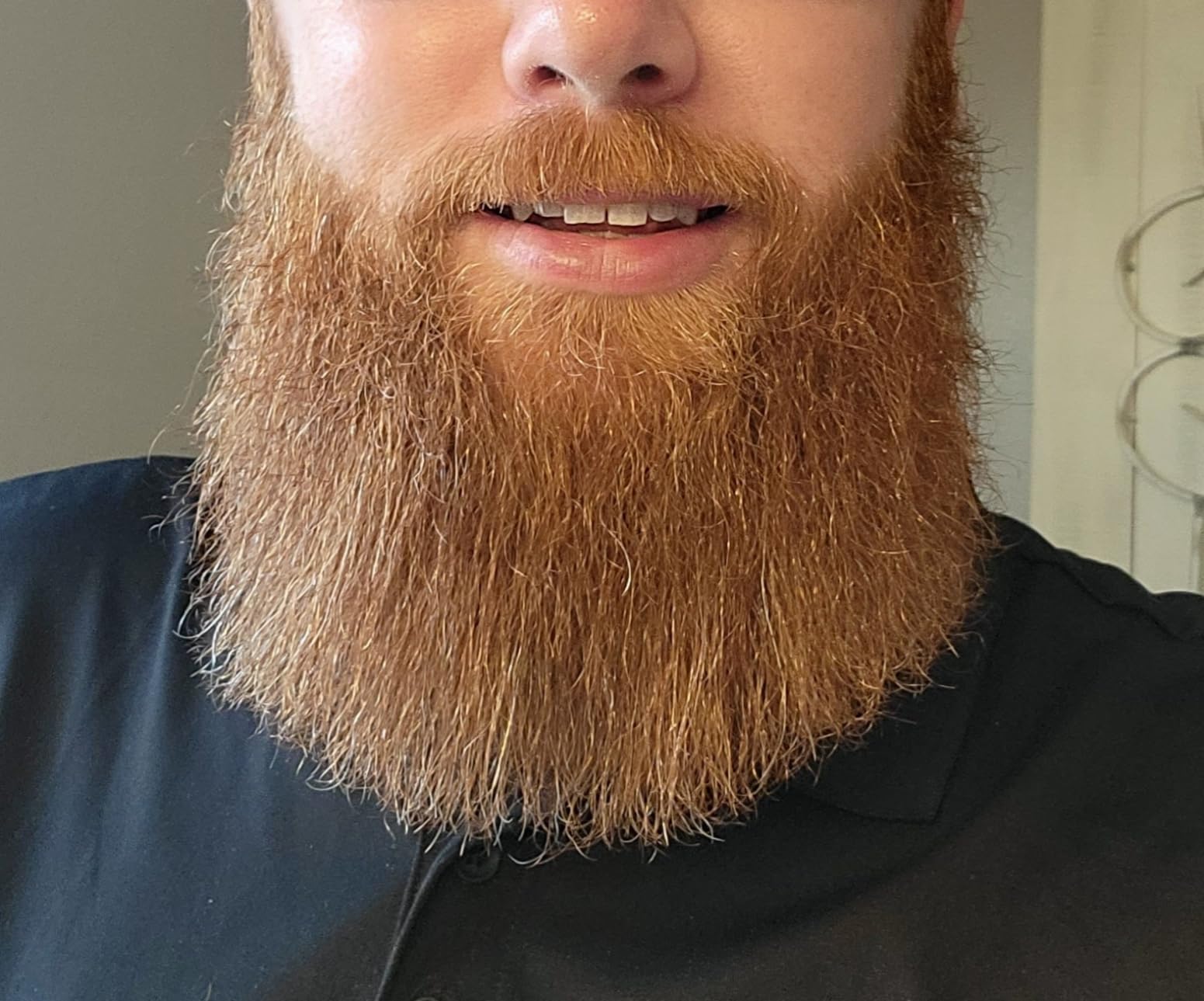 Wild Willies Beard Straightener Brush & Hot Comb - Tourmaline Ceramic customer photo 2