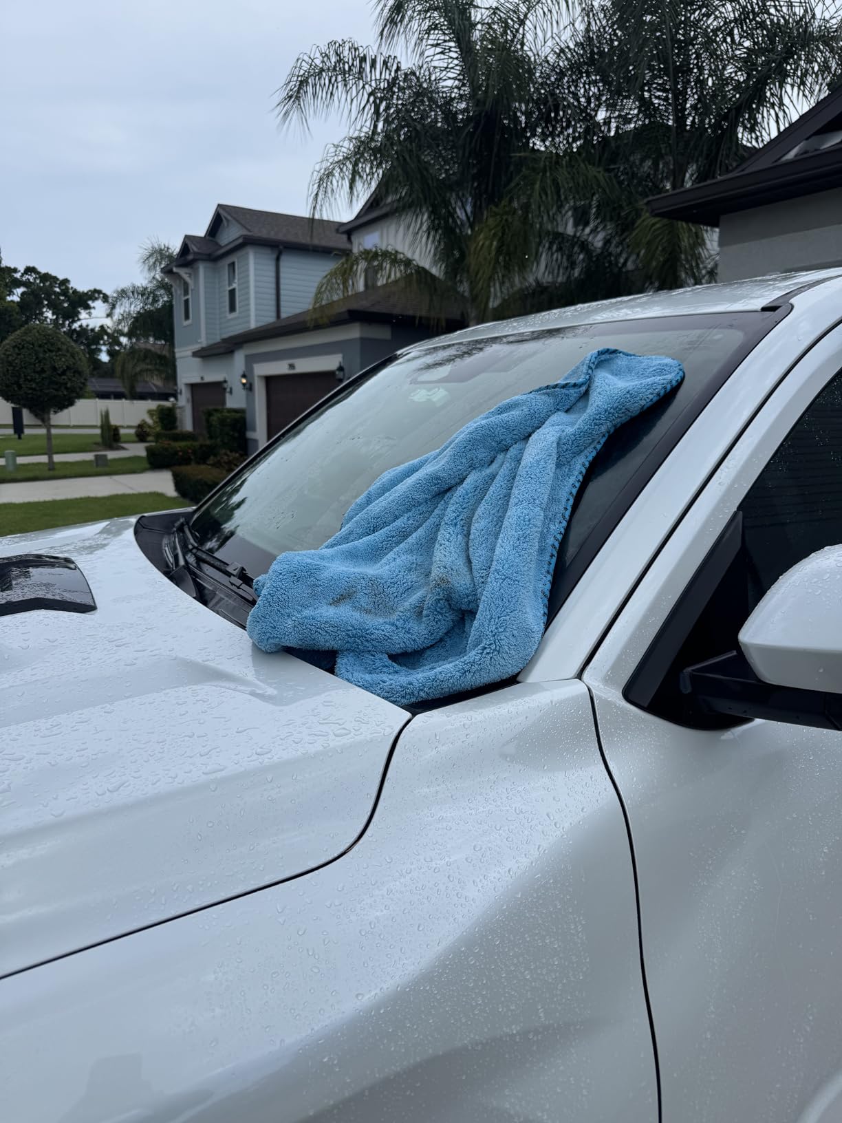 Chemical Guys, Woolly Mammoth Large Microfiber Drying Towel, Blue, 36 x 25 customer photo 2