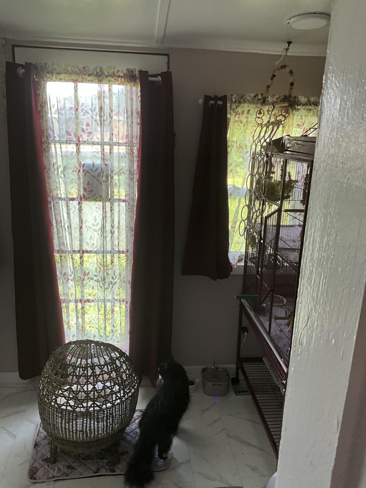 ChrisDowa Blackout Curtains for Bedroom and Living Room 63 Inches Long | 2 Panels Set, Thermal Insulated, Light Blocking, Room Darkening, Grommet, Window Drapes, Dark Grey, 42 x 63 Inch customer photo 1