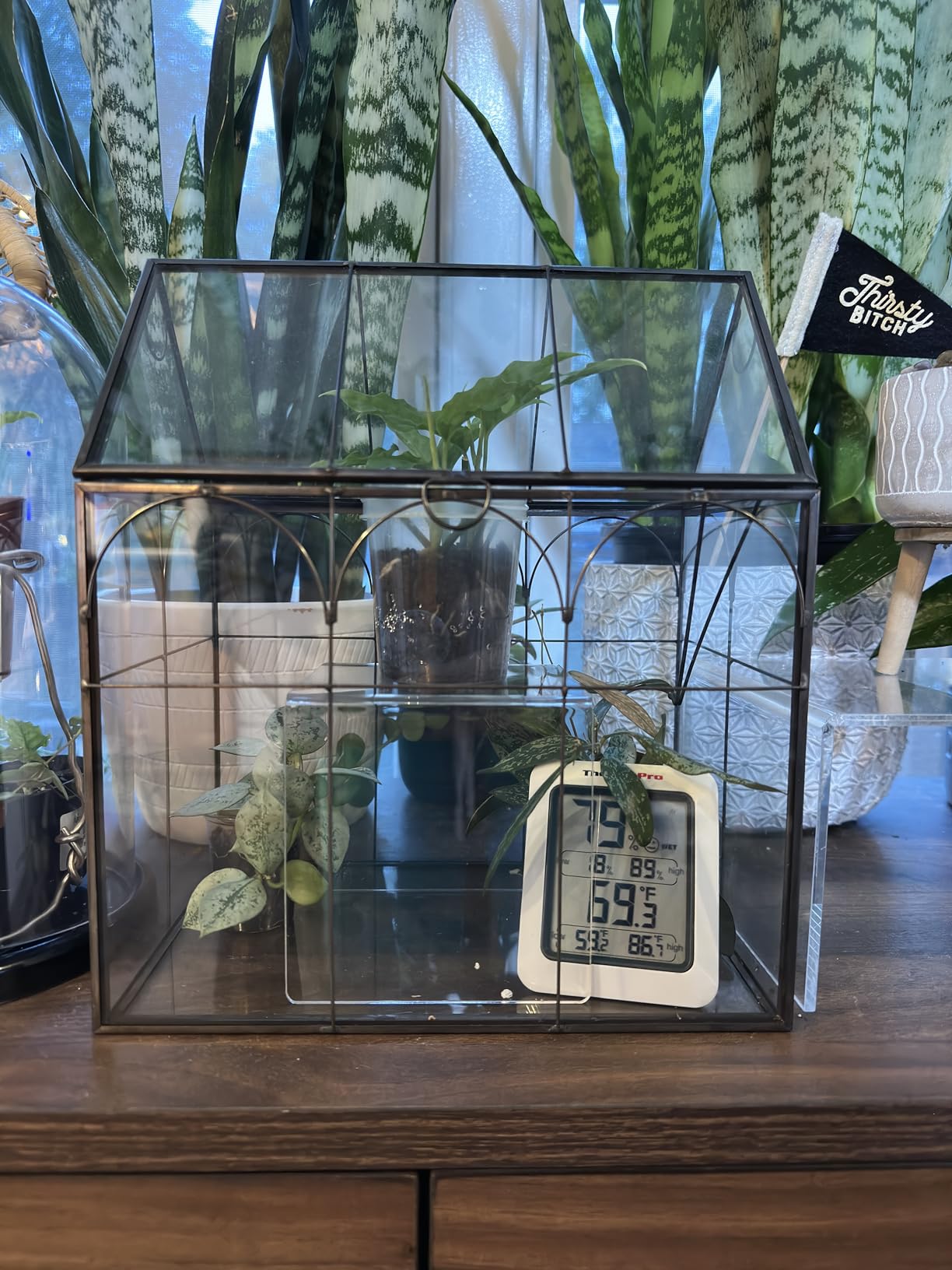Large Tall Plant Greenhouse Terrarium Glass with Lid, 8.7