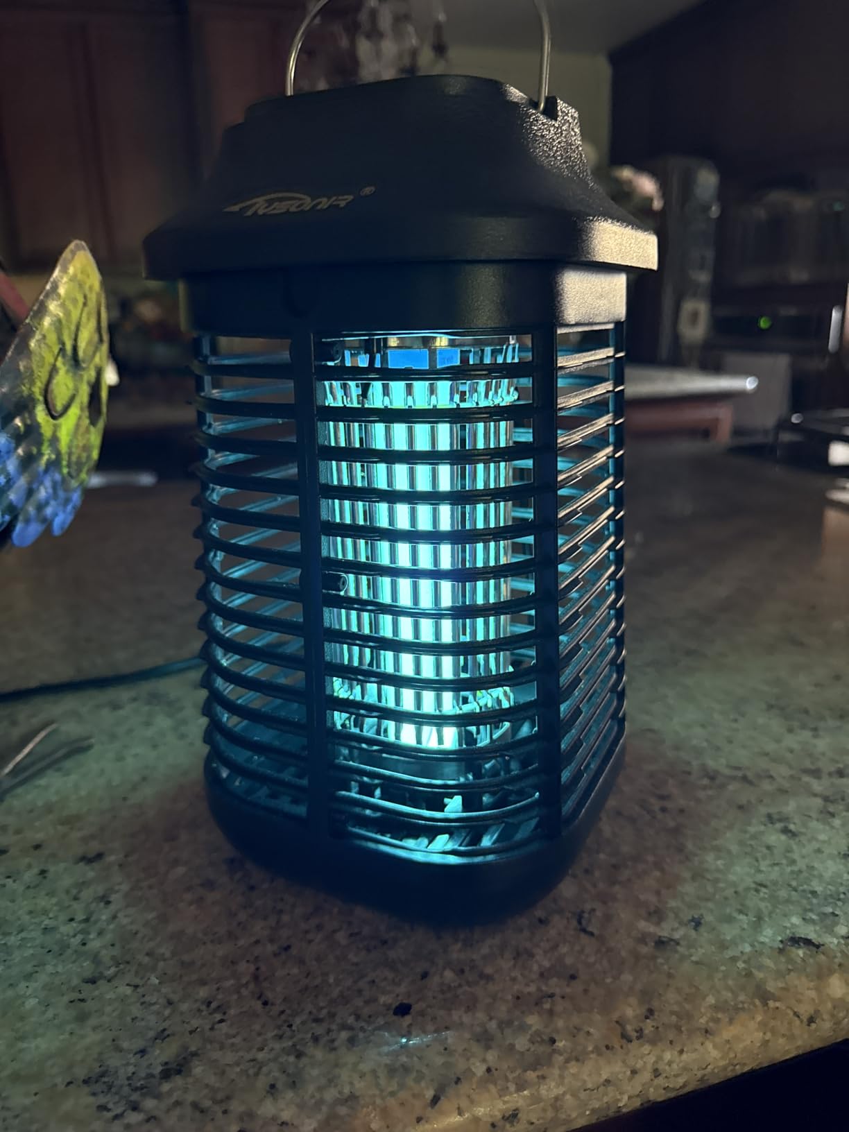 Bug Zapper 4200V, 9.84Ft Power Cord w/Switch, Electronic Mosquito lamp customer photo 1