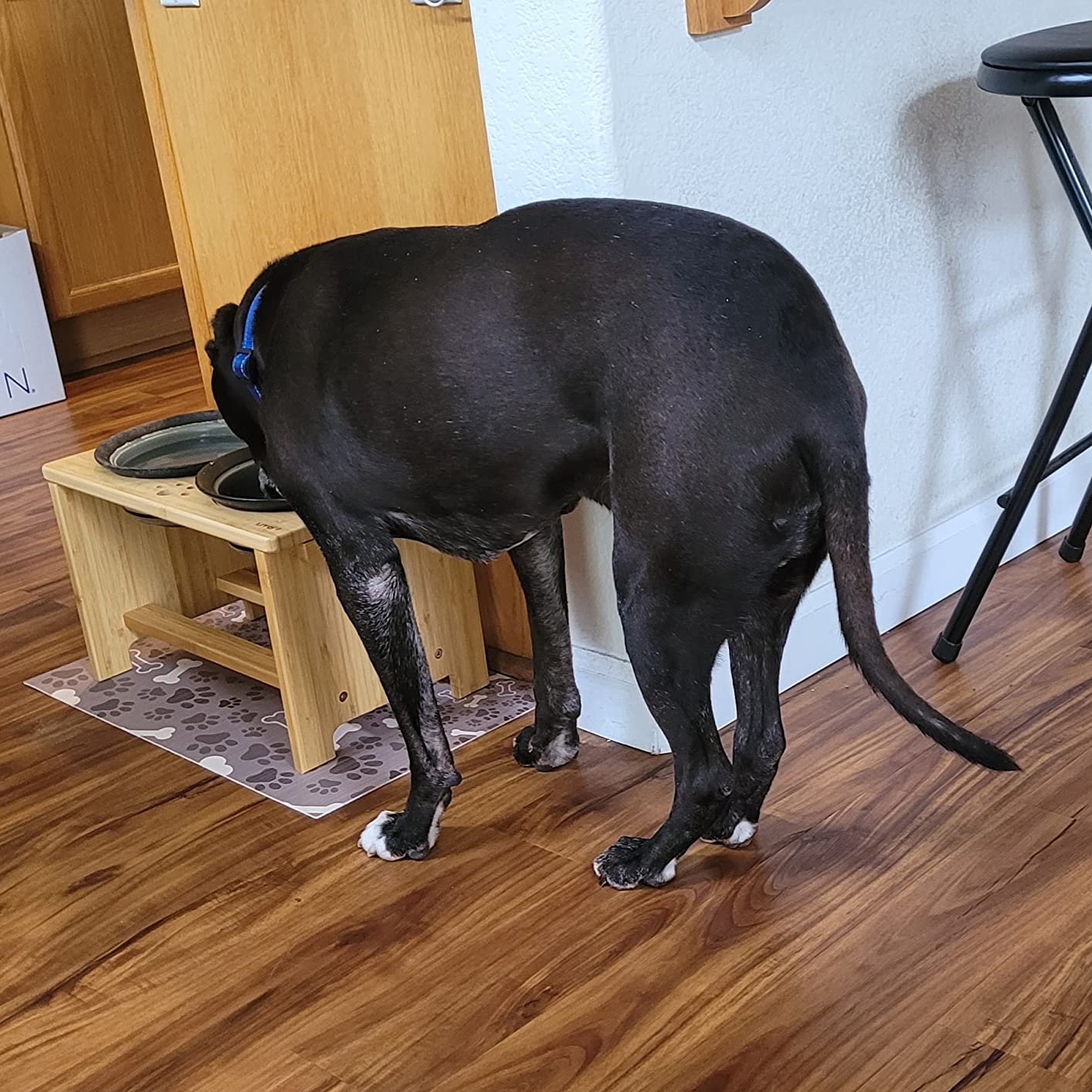 HTB Elevated Dog Bowls,Raised Dog Bowl Stand with 2 Stainless Steel Bowls,Elevated Raised Dog Bowls for Large Medium Small Sized Dogs customer photo 1