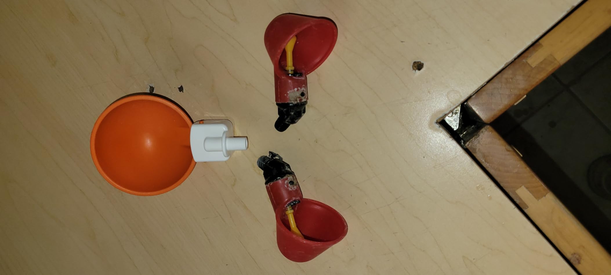 Lil'Clucker Large Automatic Chicken Waterer Cups | Chicken Water Feeder Suitable for Chicks, Duck, Goose, Turkey and Bunny | Poultry Water Feeder Kit (Orange, 5-Pack) customer photo 2