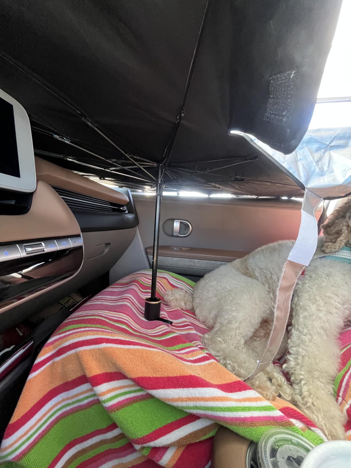 2026 Windshield Sun Shade Umbrella, Foldable Car Sunshade, 99% UV Block customer photo 1