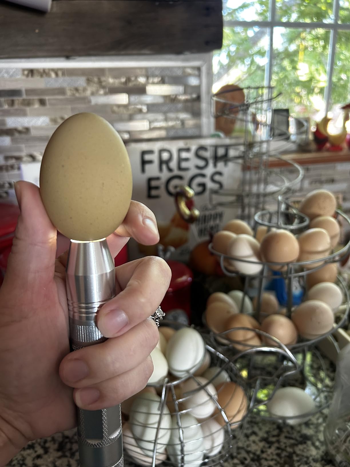Egg Candler Light Tester Egg Candler Tester Candling Lamp for All Egg Typy customer photo 1