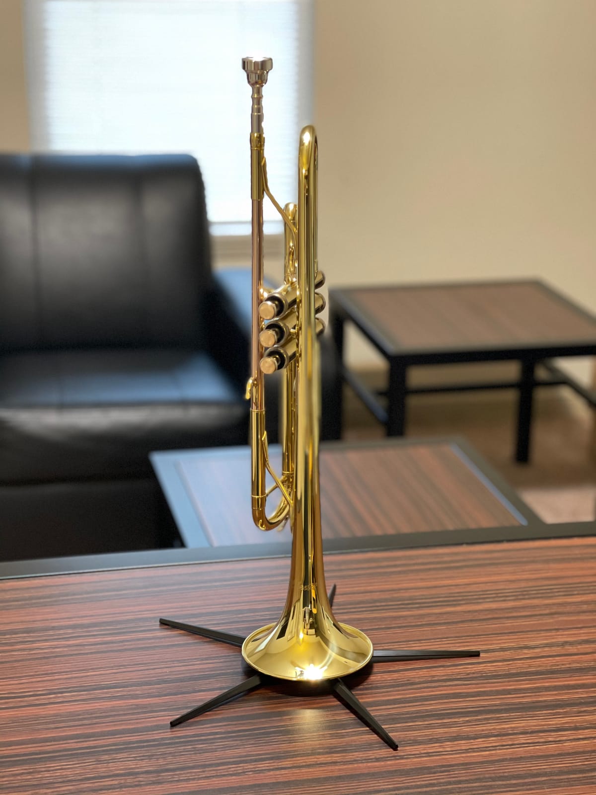 Libretto Gold Lacquer Bb Trumpet Set, Rose Brass Leadpipe customer photo 1