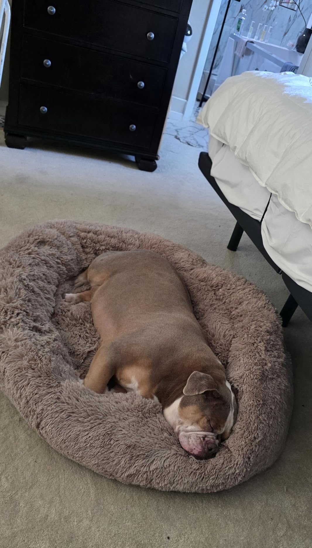 Bedsure Calming Dog Bed Medium Size Dog Donut Washable Pet Bed,30ins Camel | Oprah Daily Sleep Award,Fluffy Faux Fur Round Cuddler,Anti-Slip Bottom,Anti-Anxiety,Deep Sleep for Pets Up to 45 Lbs customer photo 2