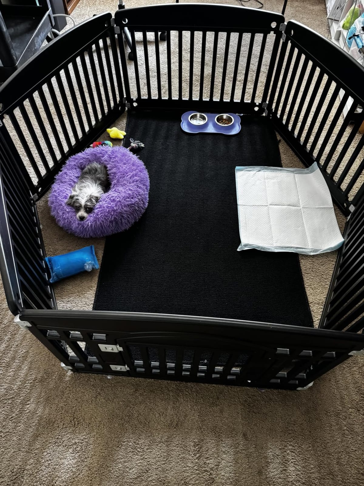 nononfish Soft Dog Bed for Small Dogs,Cozy Calming Donut Pet Bed customer photo 1