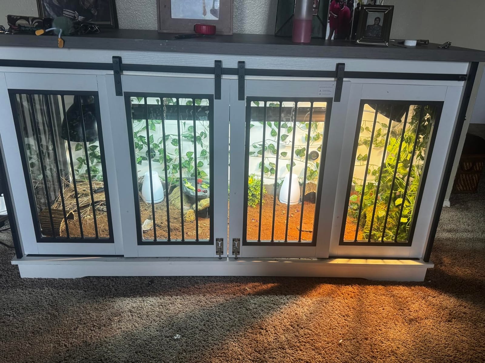 REPTI ZOO T5 HO UVB Lighting Combo Kit, Terrarium Hood Comes with Desert 10.0 UVB T5 Lamp (39W) customer photo 1