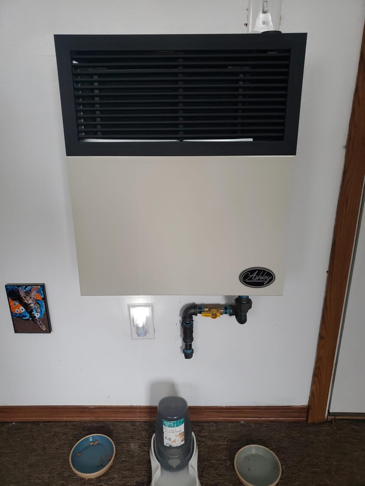 Ashley Hearth DVAG11N Natural Gas Direct-Vent Wall Heater customer photo 1
