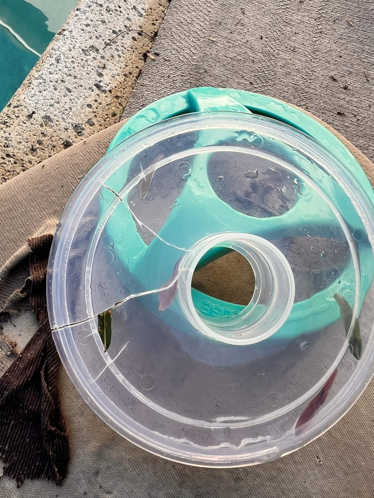Pool Leaf Catcher Canister, in-line Leaf Canister for Pool Spa Cleaner customer photo 1