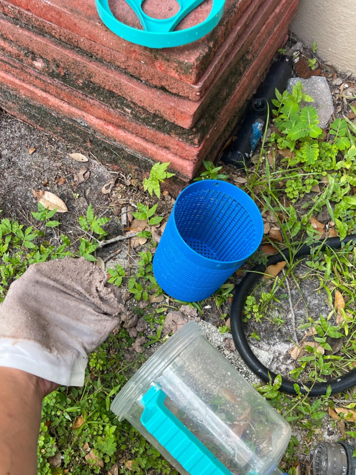 Pool Leaf Catcher Canister, in-line Leaf Canister for Pool Spa Cleaner customer photo 2