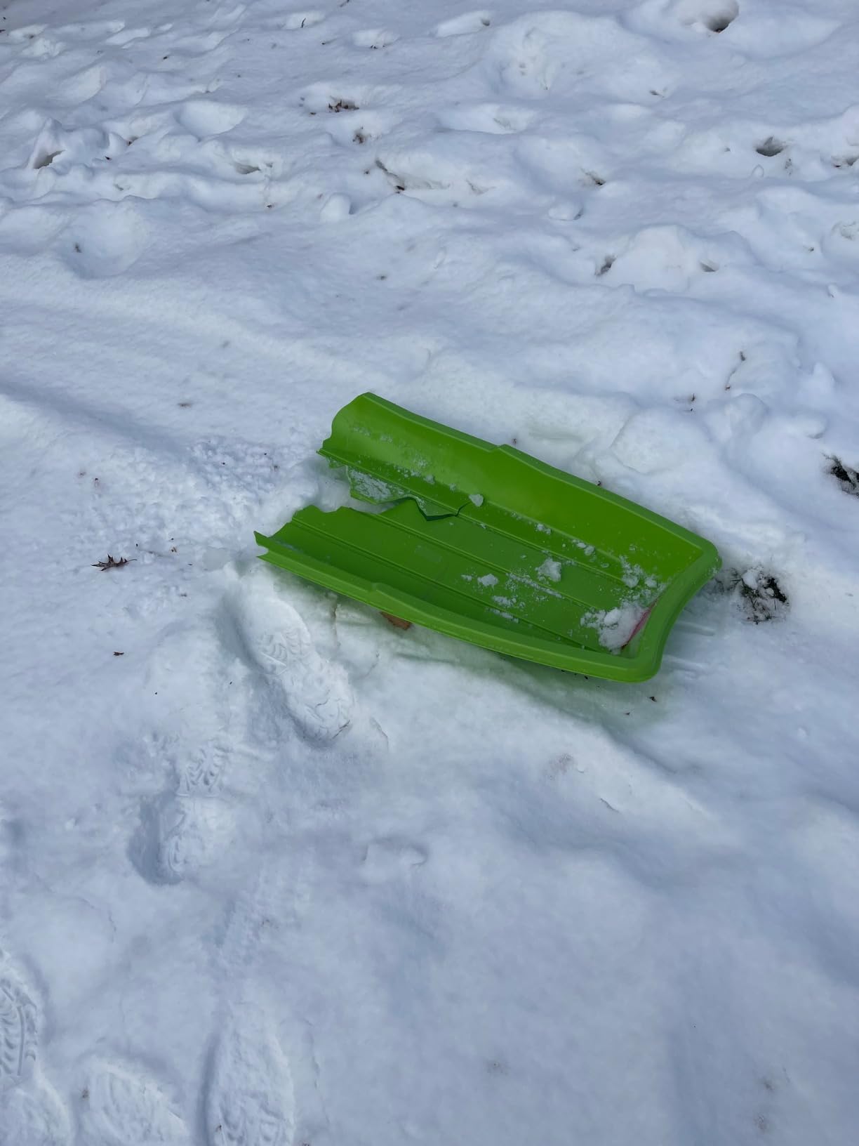 Flexible Flyer Winter Lightning Snow Sleds for Kids and Adults (3-Pack) - 48 Inch Toboggan Style Plastic Sled with Hard Bottom for Fast, Smooth Rides - 1 or 2 Riders (Blue, Green, Orange) customer photo 2