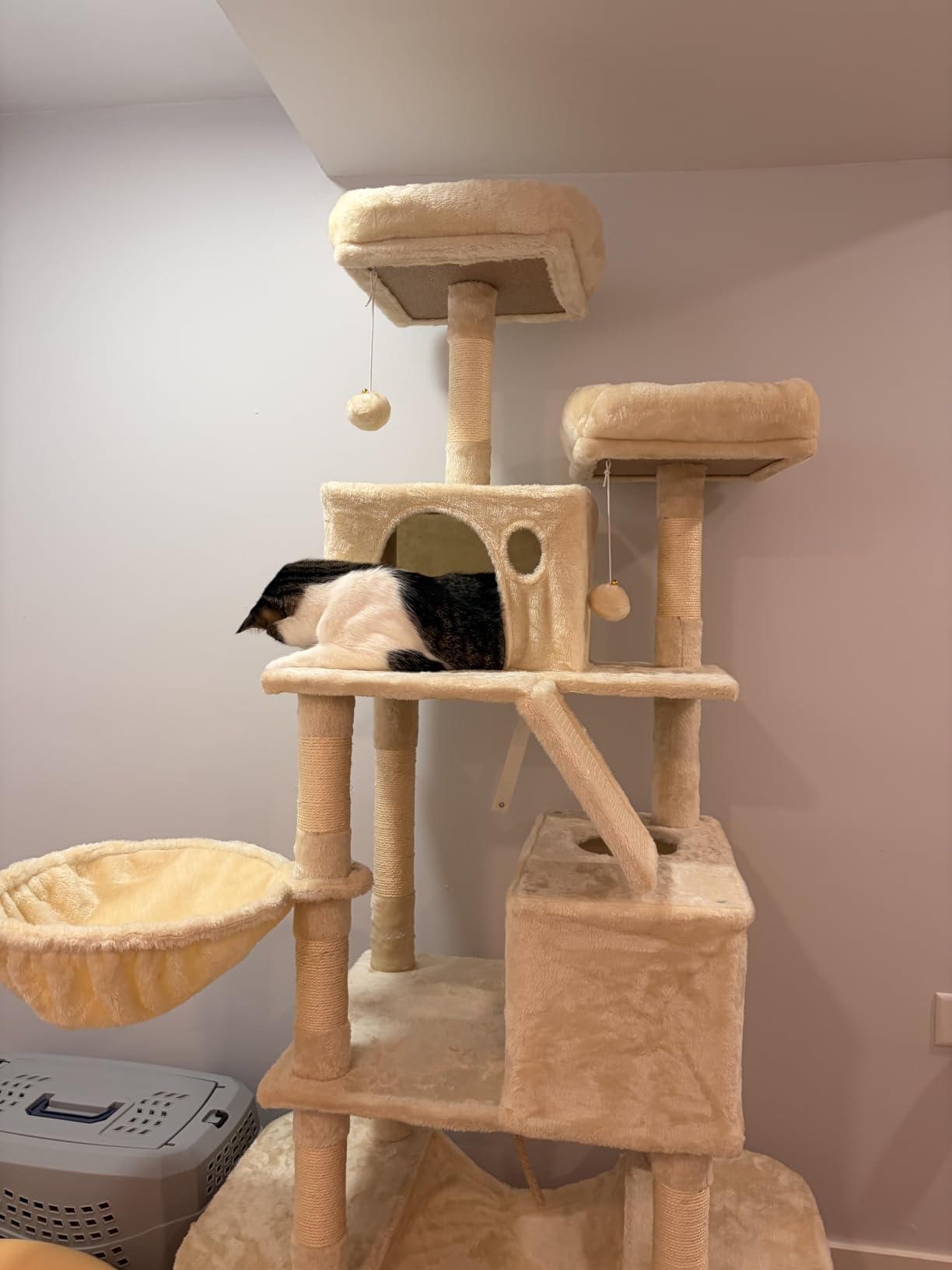 Feandrea Cat Tree, 81.1-Inch Large Cat Tower, Multi-Level Condo, Smoky Gray customer photo 1