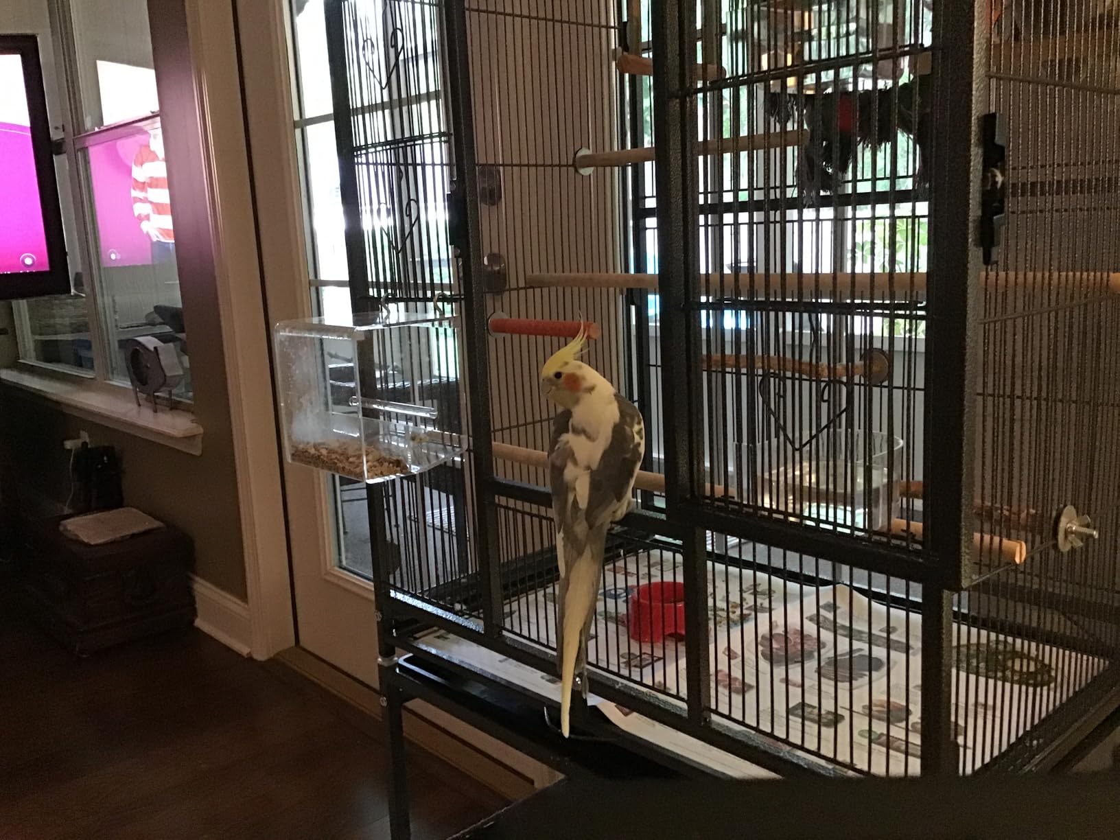 VIVOHOME 54 Inch Wrought Iron Large Bird Cage with Rolling Stand customer photo 2