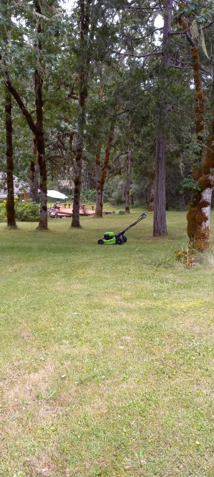 Greenworks 48V (24V x 2) 21in Self-Propelled Lawn Mower, Battery Kit customer photo 1